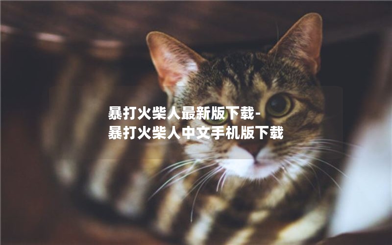 暴打火柴人最新版下载-暴打火柴人中文手机版下载