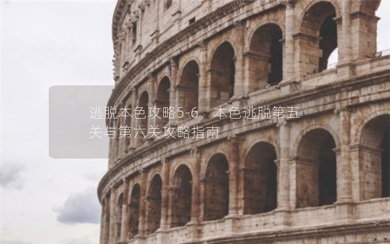 逃脱本色攻略5-6，本色逃脱第五关与第六关攻略指南