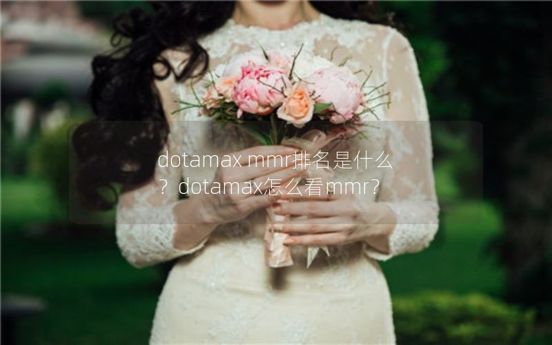 dotamax mmr排名是什么？dotamax怎么看mmr？