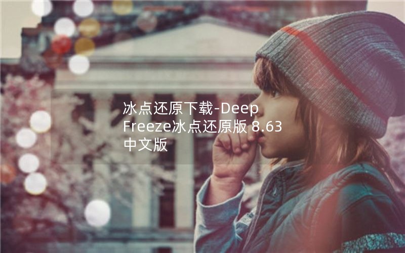 冰点还原下载-Deep Freeze冰点还原版 8.63 中文版