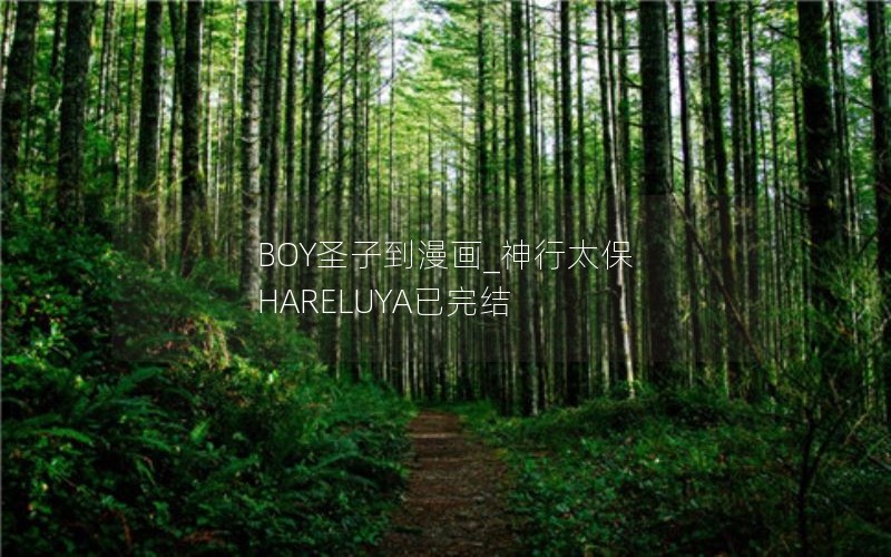 BOY圣子到漫画_神行太保 HARELUYA已完结
