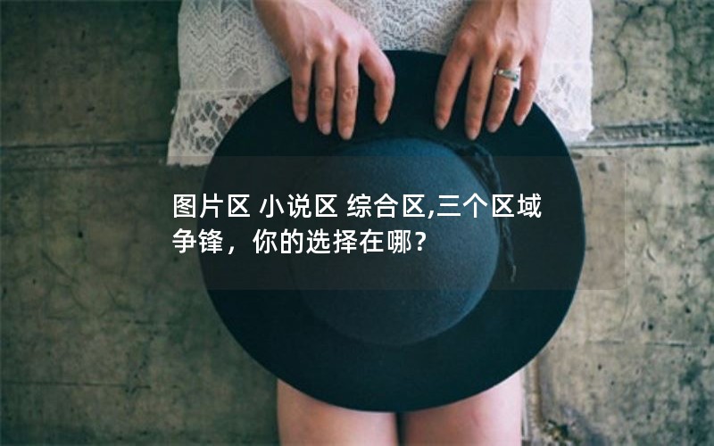 图片区 小说区 综合区,三个区域争锋，你的选择在哪？
