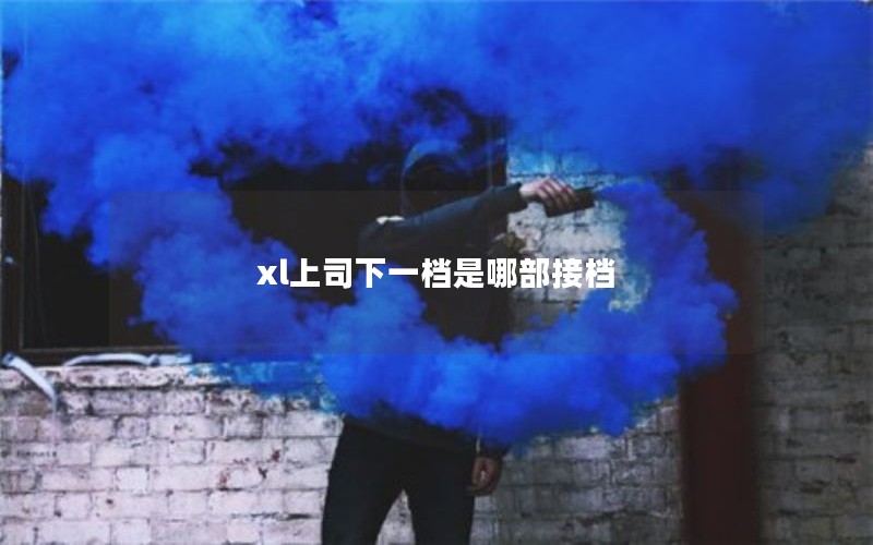 xl上司下一档是哪部接档