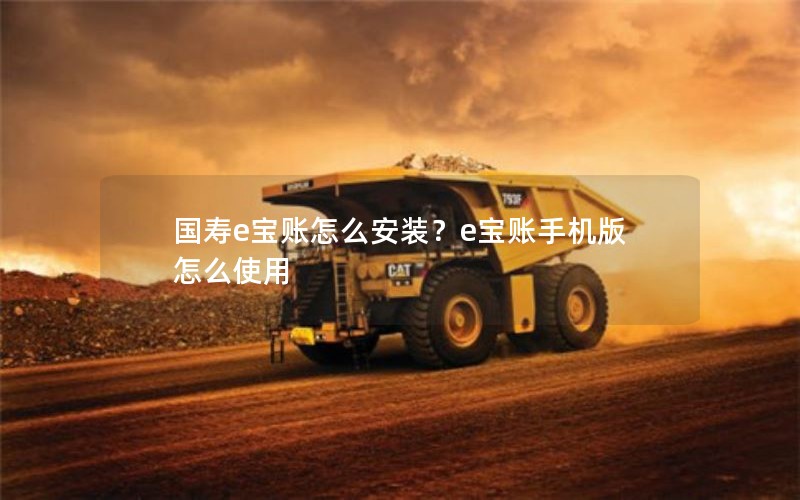 国寿e宝账怎么安装？e宝账手机版怎么使用