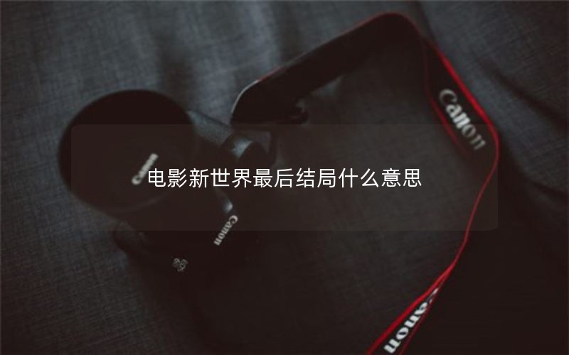 电影新世界最后结局什么意思