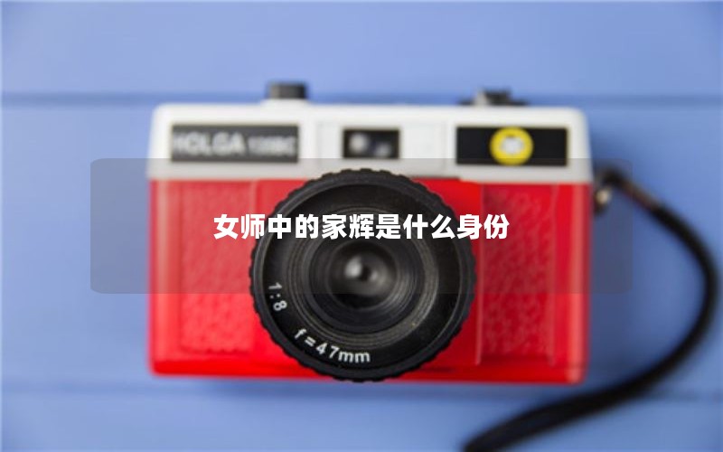 女师中的家辉是什么身份