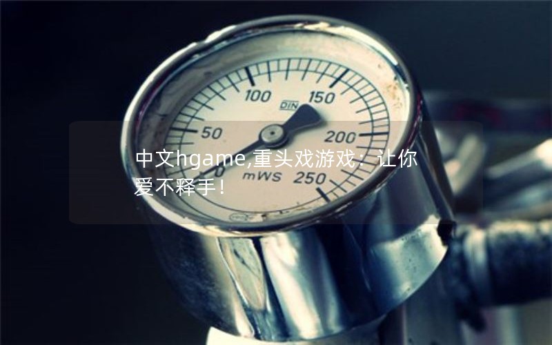 中文hgame,重头戏游戏：让你爱不释手！