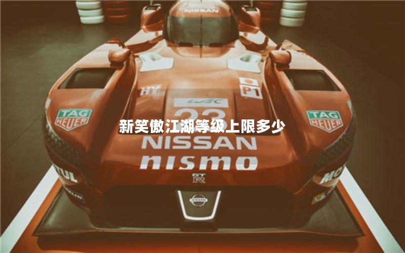 新笑傲江湖等级上限多少