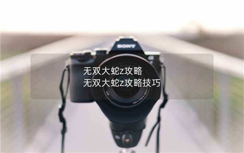 无双大蛇z攻略 无双大蛇z攻略技巧