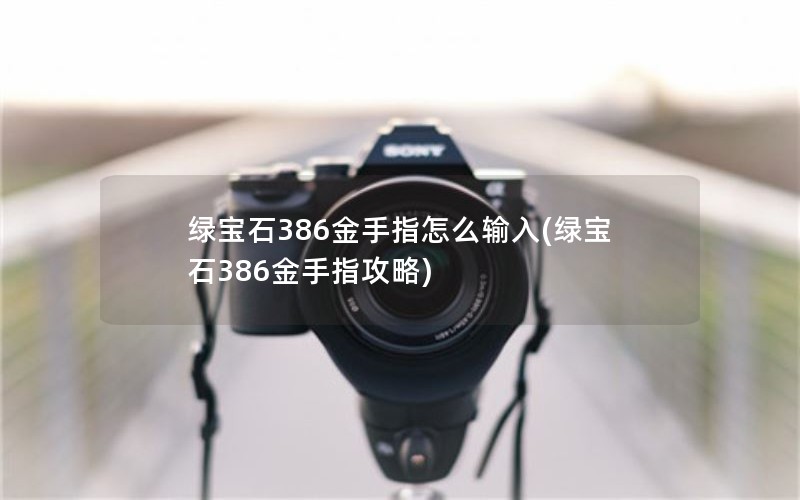 绿宝石386金手指怎么输入(绿宝石386金手指攻略) 绿宝石386金手指怎么输入(绿宝石386金手指攻略)