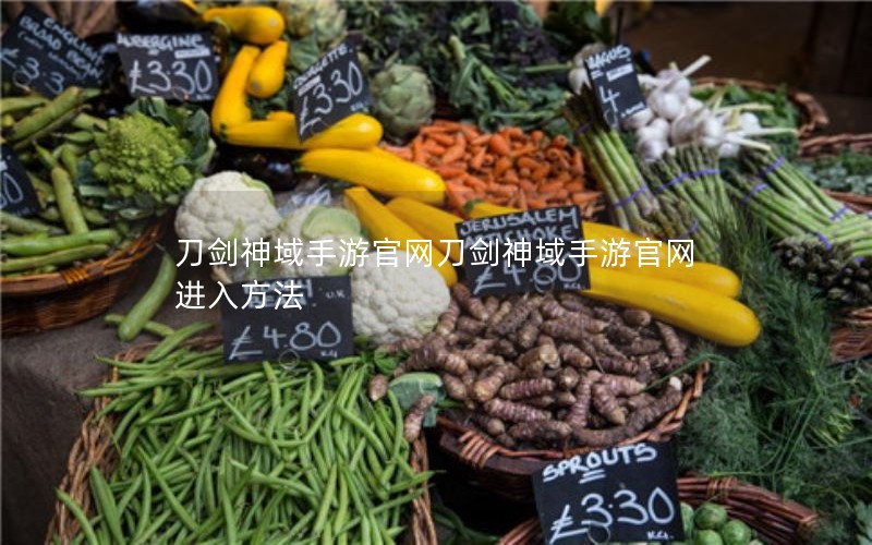 刀剑神域手游官网刀剑神域手游官网进入方法
