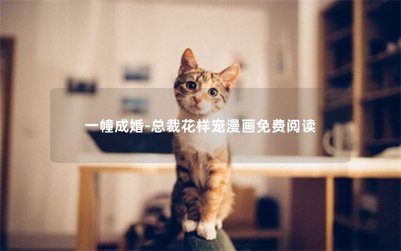 一幢成婚-总裁花样宠漫画免费阅读