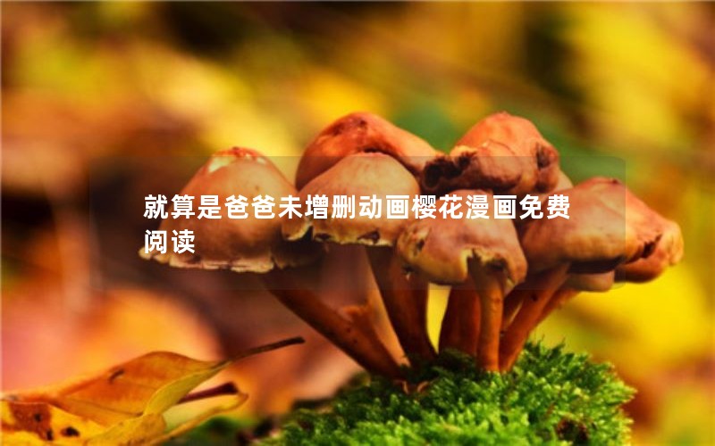 就算是爸爸未增删动画樱花漫画免费阅读
