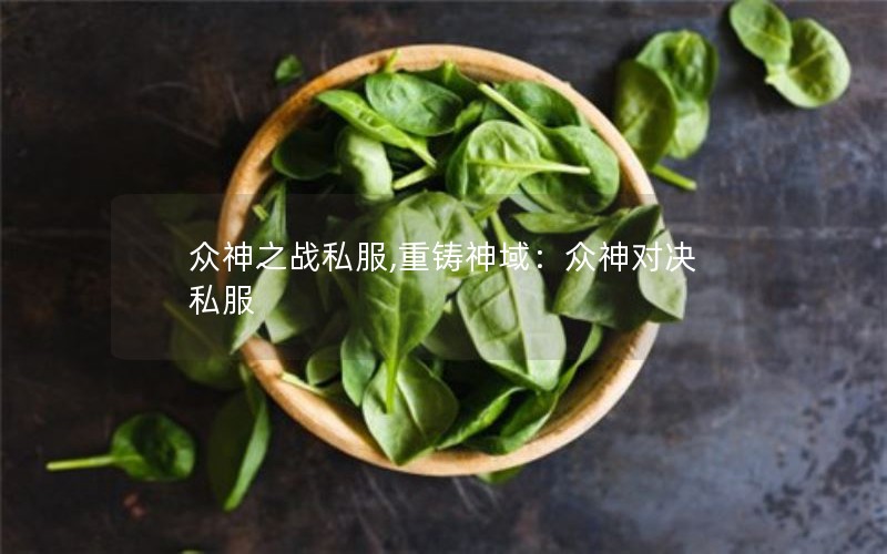 众神之战私服,重铸神域：众神对决私服