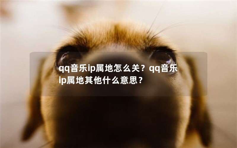 qq音乐ip属地怎么关？qq音乐ip属地其他什么意思？