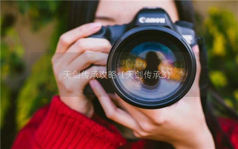 天剑传承攻略（天剑传承3）