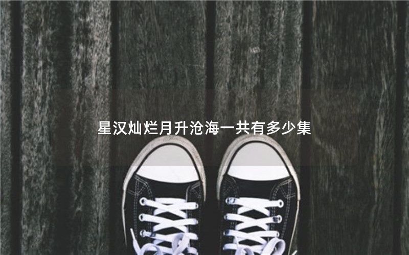 星汉灿烂月升沧海一共有多少集