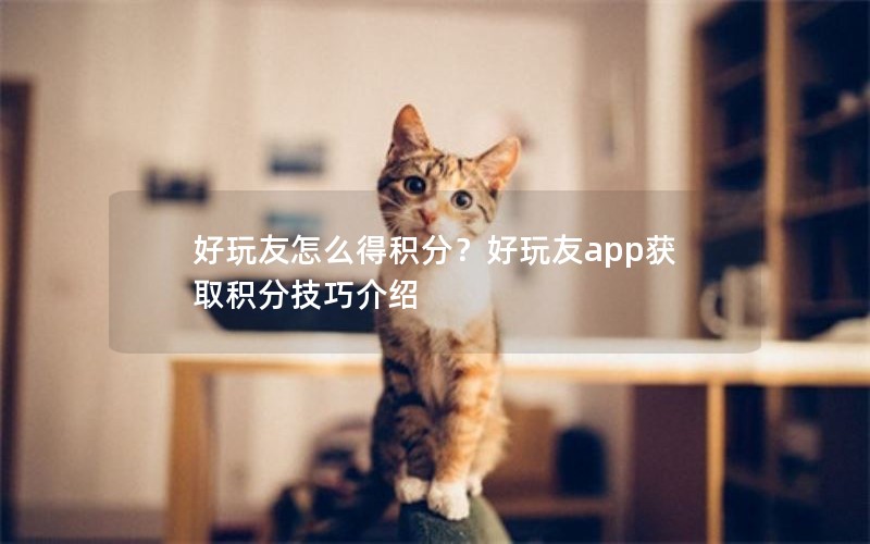 好玩友怎么得积分?好玩友app获取积分技巧介绍 好玩友怎么得积分?好玩友app获取积分技巧介绍