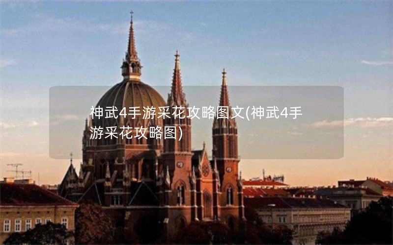 神武4手游采花攻略图文(神武4手游采花攻略图)