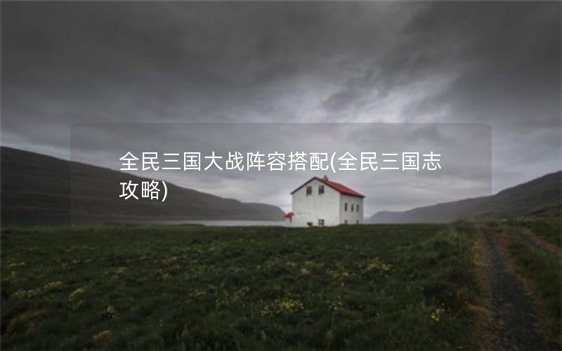 全民三国大战阵容搭配(全民三国志攻略)