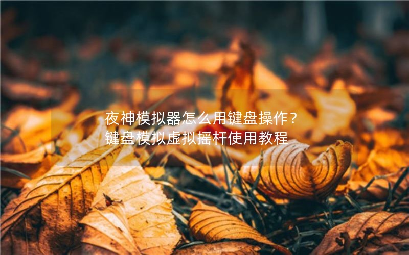 夜神模拟器怎么用键盘操作？ 键盘模拟虚拟摇杆使用教程