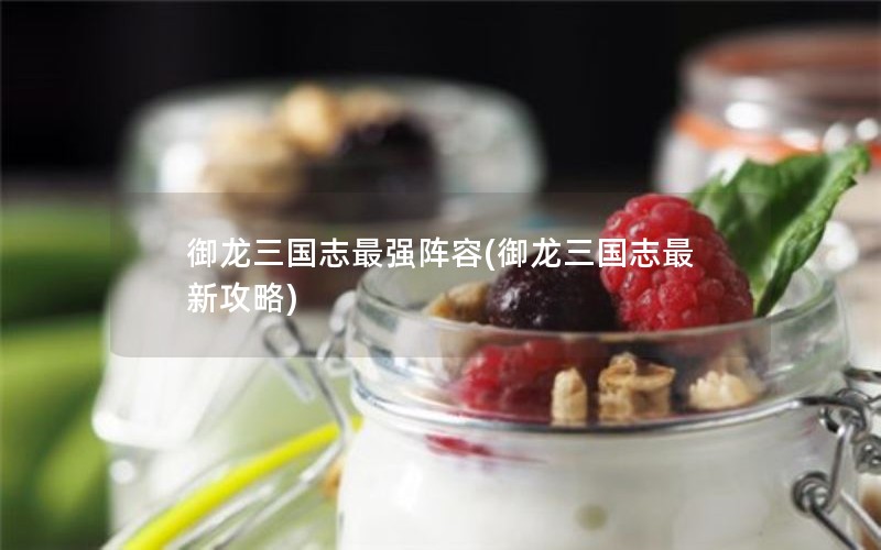 御龙三国志最强阵容(御龙三国志最新攻略)