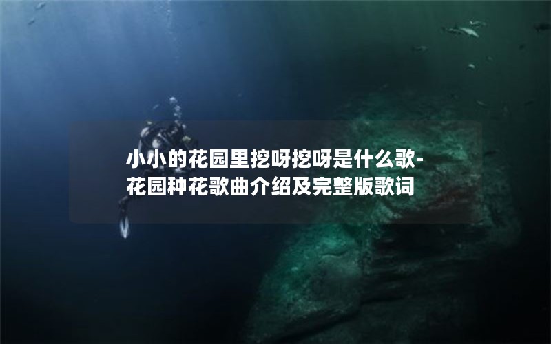 小小的花园里挖呀挖呀是什么歌-花园种花歌曲介绍及完整版歌词