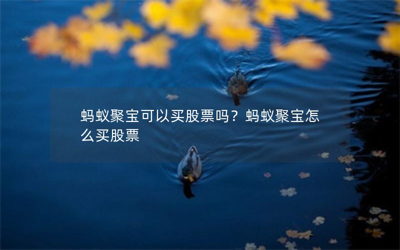 蚂蚁聚宝可以买股票吗？蚂蚁聚宝怎么买股票