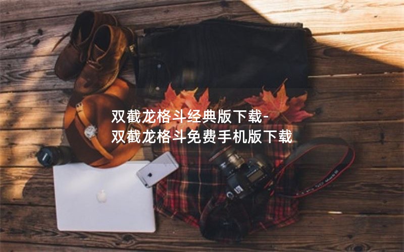 双截龙格斗经典版下载-双截龙格斗免费手机版下载