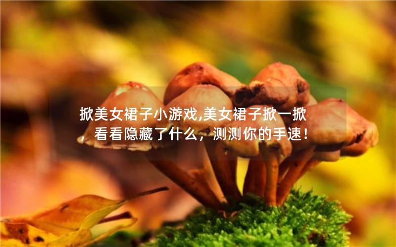 掀美女裙子小游戏,美女裙子掀一掀，看看隐藏了什么，测测你的手速！