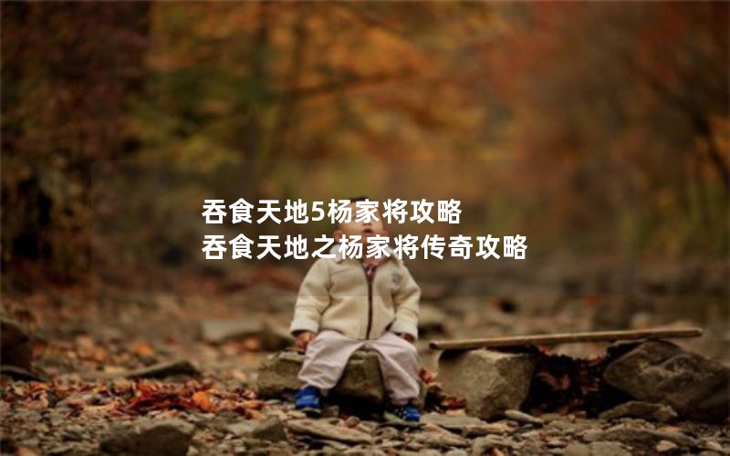 吞食天地5杨家将攻略 吞食天地之杨家将传奇攻略