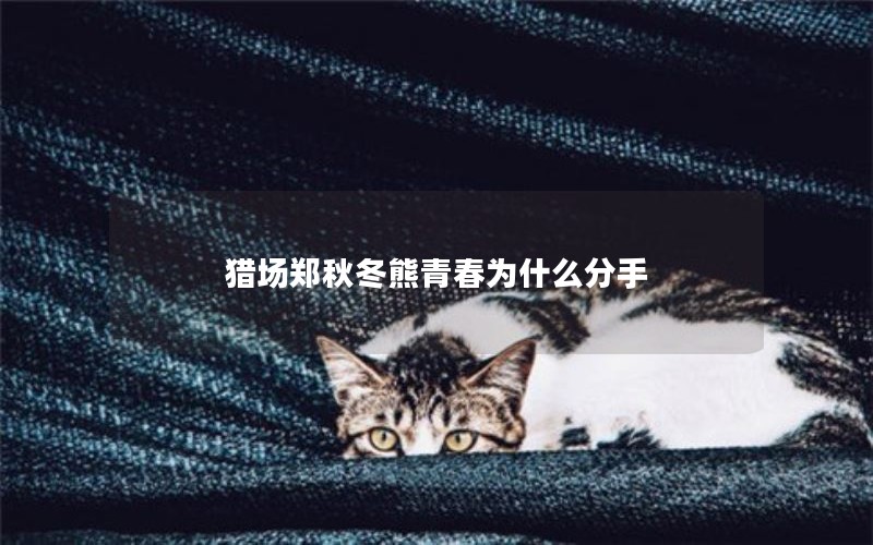 猎场郑秋冬熊青春为什么分手