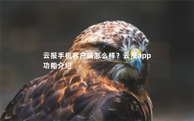 云报手机客户端怎么样？云报app功能介绍