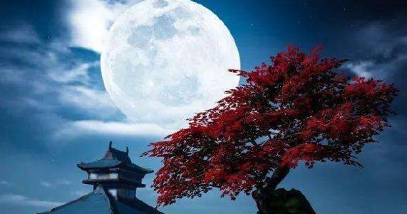 天涯明月刀手游帮派许愿树怎么种 许愿树在哪里