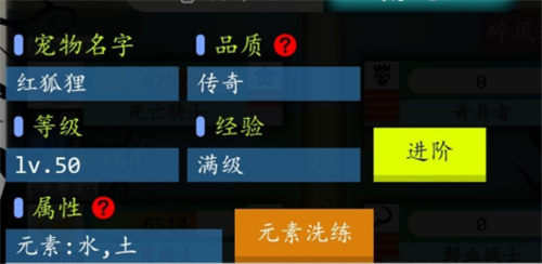 奇幻的冒险宠物怎么进阶 宠物品质提升攻略