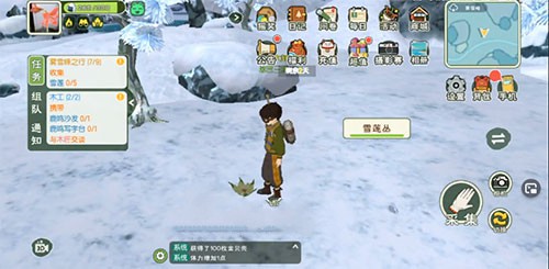 小森生活雪莲什么时候刷新 雪莲晚上有吗