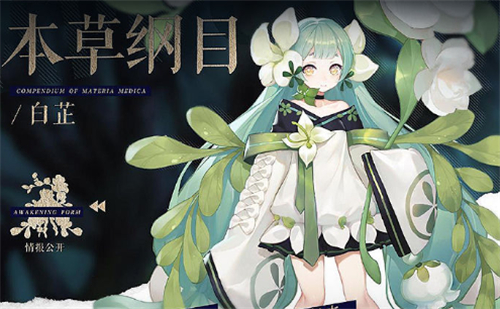 幻书启世录白芷契印推荐 白芷本草纲目好用吗