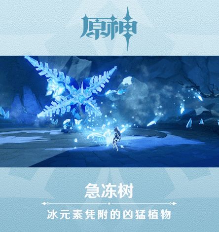 原神命中急冻树10次怎么做 命中急冻树10次成就攻略