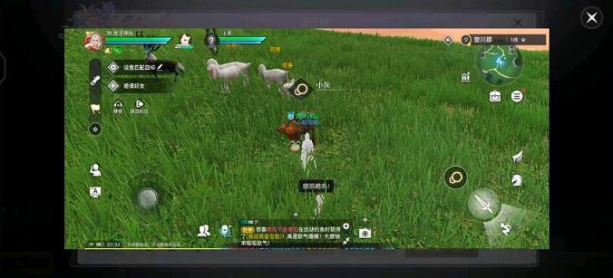 天谕手游狂暴驼兽在哪 狂暴驼兽小花坐标