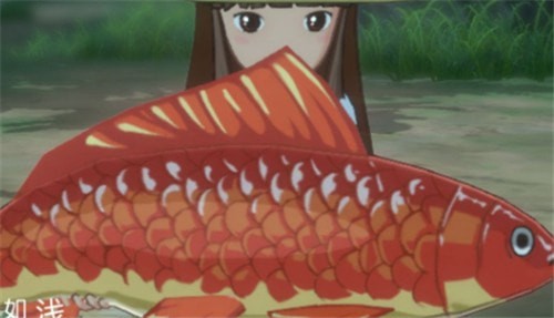 小森生活鲤鱼王饲料怎么获取 鲤鱼王任务攻略