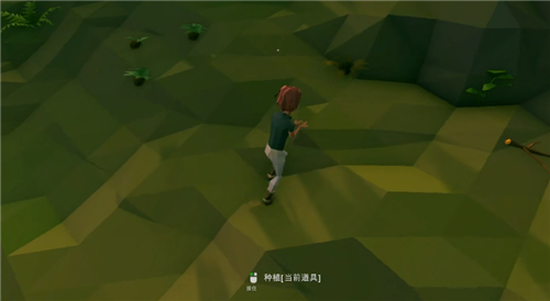 艾兰岛种子怎么种 开荒必学种植教程