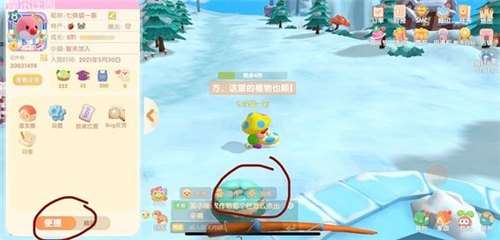 摩尔庄园手游向导桌怎么摆 向导桌摆放任务完成攻略