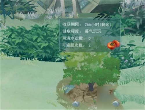 江湖悠悠怎么浇水 种植果树浇水方法教学