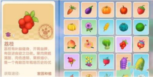 摩尔庄园手游荔枝有什么用 荔枝作用介绍