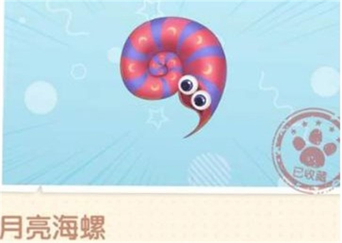 摩尔庄园手游月亮海螺在哪 获得方法介绍