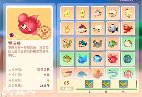 摩尔庄园手游罗汉鱼图鉴