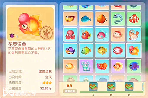 摩尔庄园手游花罗汉鱼图鉴