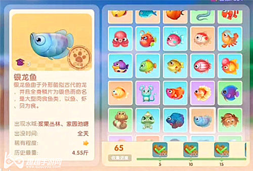 摩尔庄园手游银龙鱼图鉴