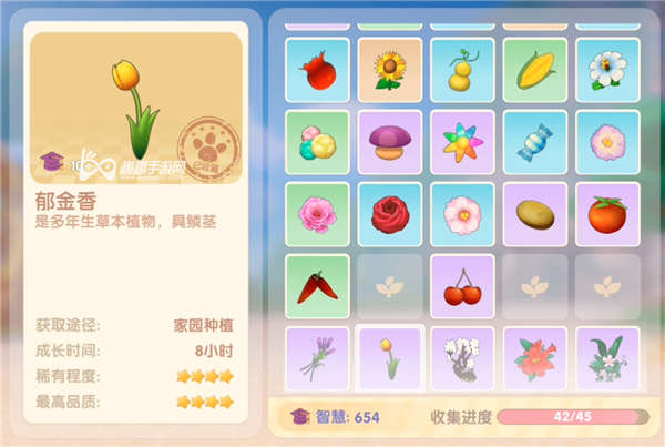 摩尔庄园手游郁金香