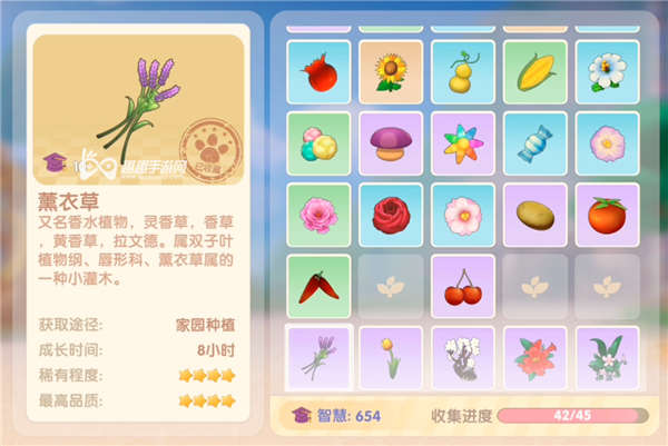 摩尔庄园手游薰衣草